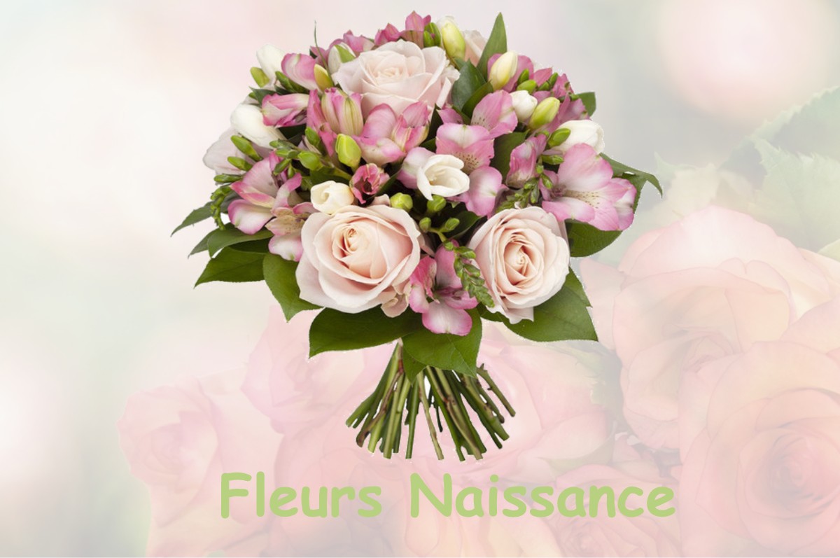 fleurs naissance FONTAINE-LES-RIBOUTS