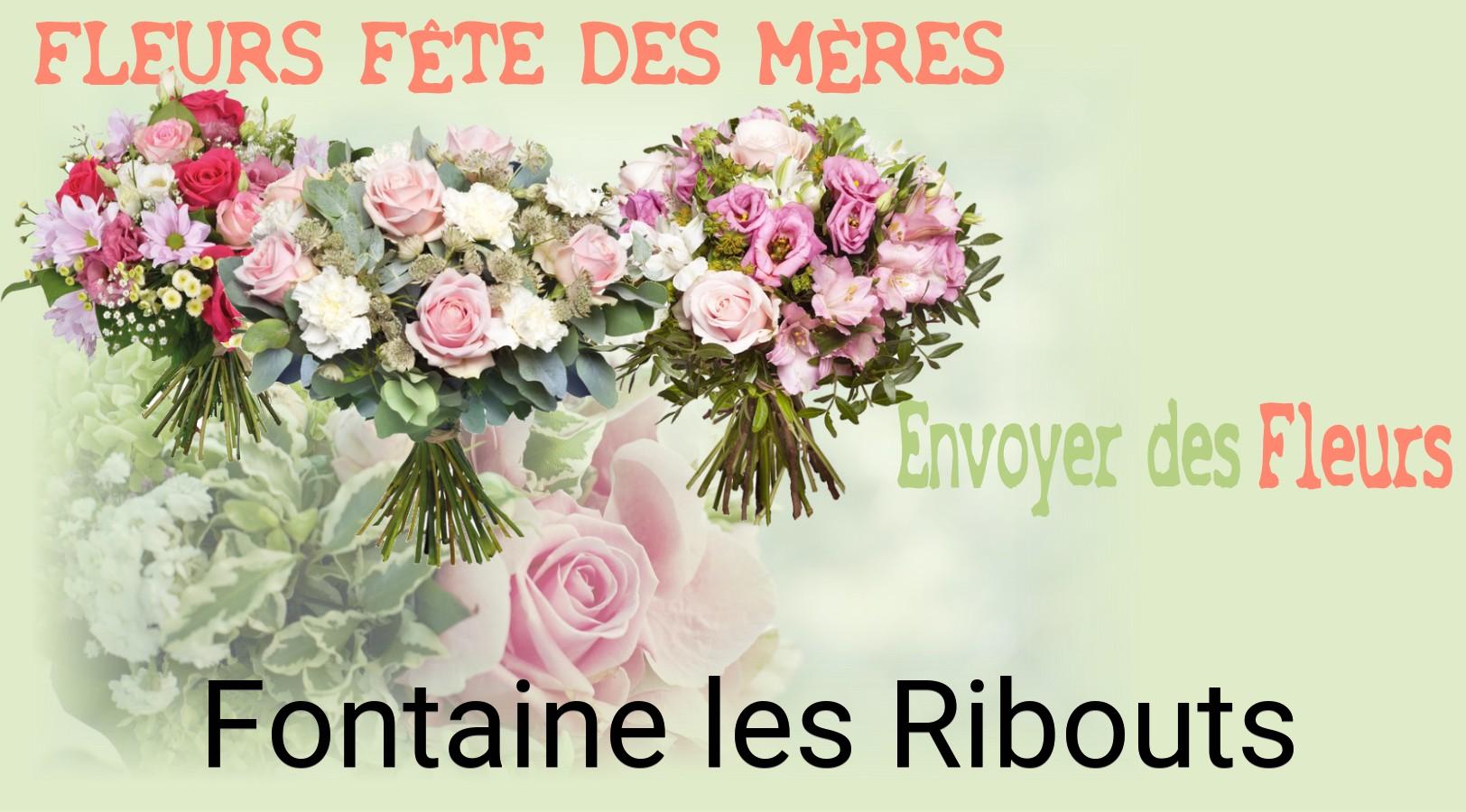 Bouquet de Fête des Mères livré à Fontaine-les-Ribouts